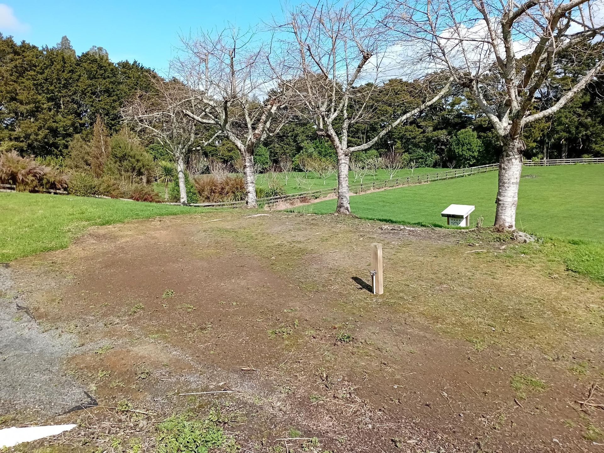 Cleared and shaped ground beside a lawn and trees