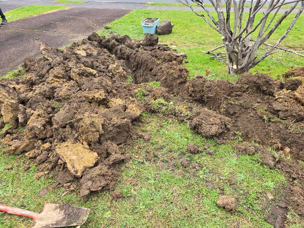 Freshly excavated soil beside a garden path and tree