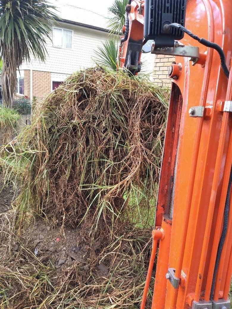 Mini digger clearing roots and overgrowth