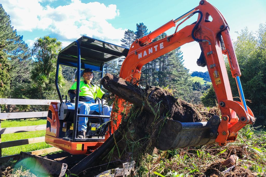 Operator lifting a tree stump and roots with a mini digger